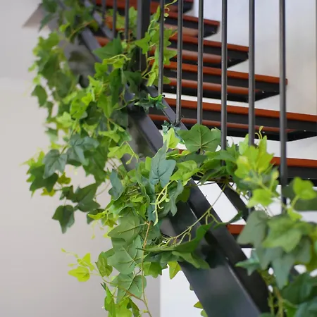 Apartment A Selva T2 In Caniço