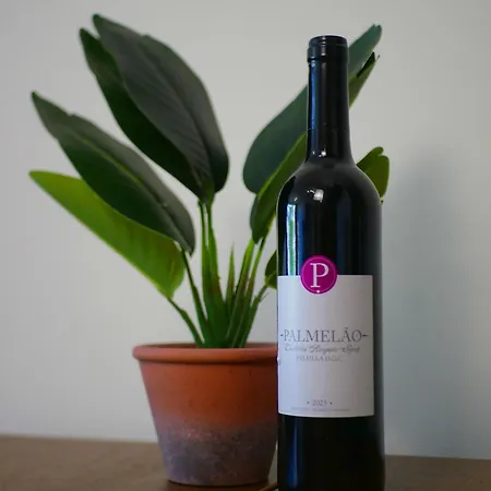 A Selva T2 In Apartment