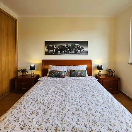 A Selva T2 In Apartment *