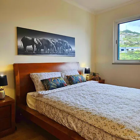 A Selva T2 In * Канису