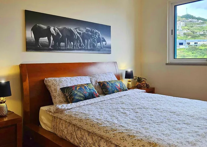 A Selva T2 In * Caniço