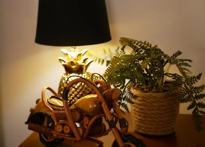 Appartamento A Selva T2 In