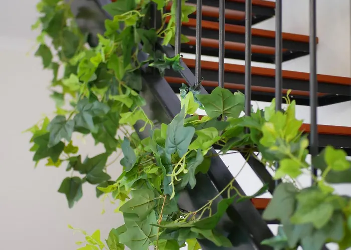 Appartamento A Selva T2 In Caniço