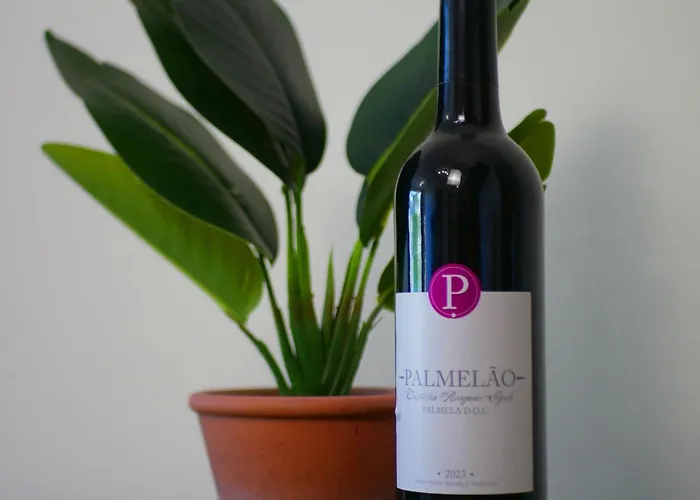 A Selva T2 In Appartamento