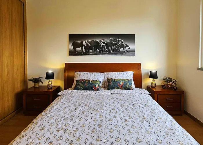 A Selva T2 In Appartamento *